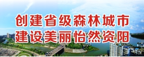 大鸡吧插进逼里猛操视频关看。创建省级森林城市 建设美丽怡然资阳